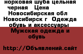 норковая шуба цельная черная › Цена ­ 35 000 - Новосибирская обл., Новосибирск г. Одежда, обувь и аксессуары » Мужская одежда и обувь   